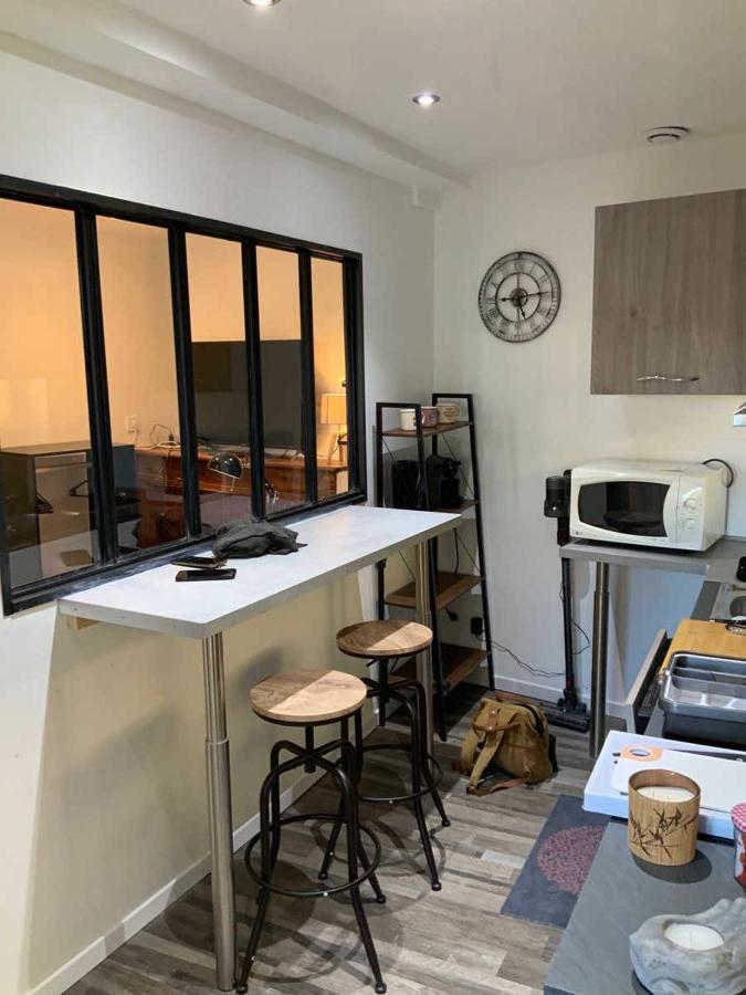 Hebergements Entiers Two Homes T1 Bas Or T1 Haut -Aux Terrasses Du Pech フォワ エクステリア 写真
