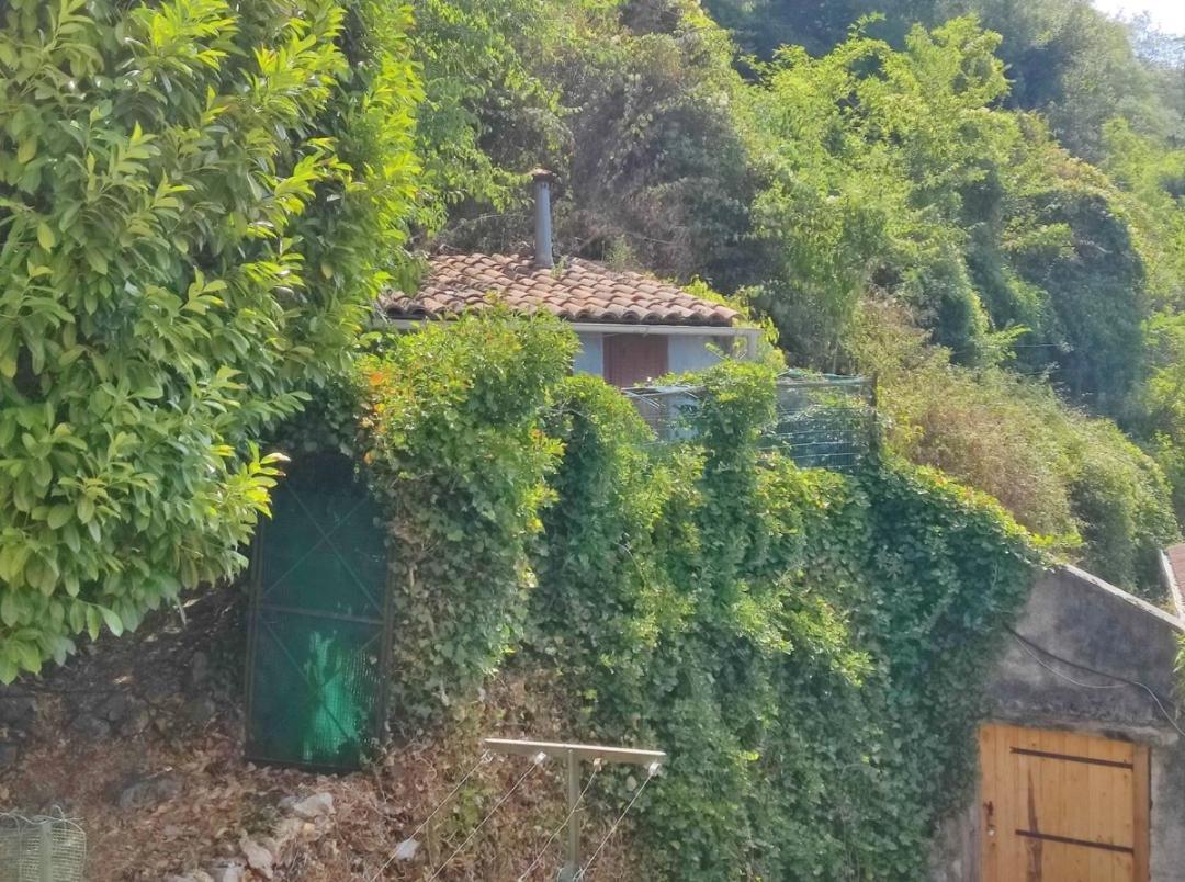 Hebergements Entiers Two Homes T1 Bas Or T1 Haut -Aux Terrasses Du Pech フォワ エクステリア 写真