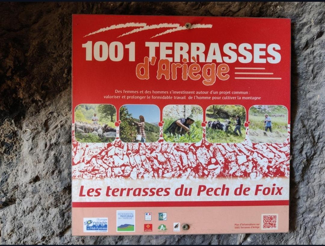 Hebergements Entiers Two Homes T1 Bas Or T1 Haut -Aux Terrasses Du Pech フォワ エクステリア 写真
